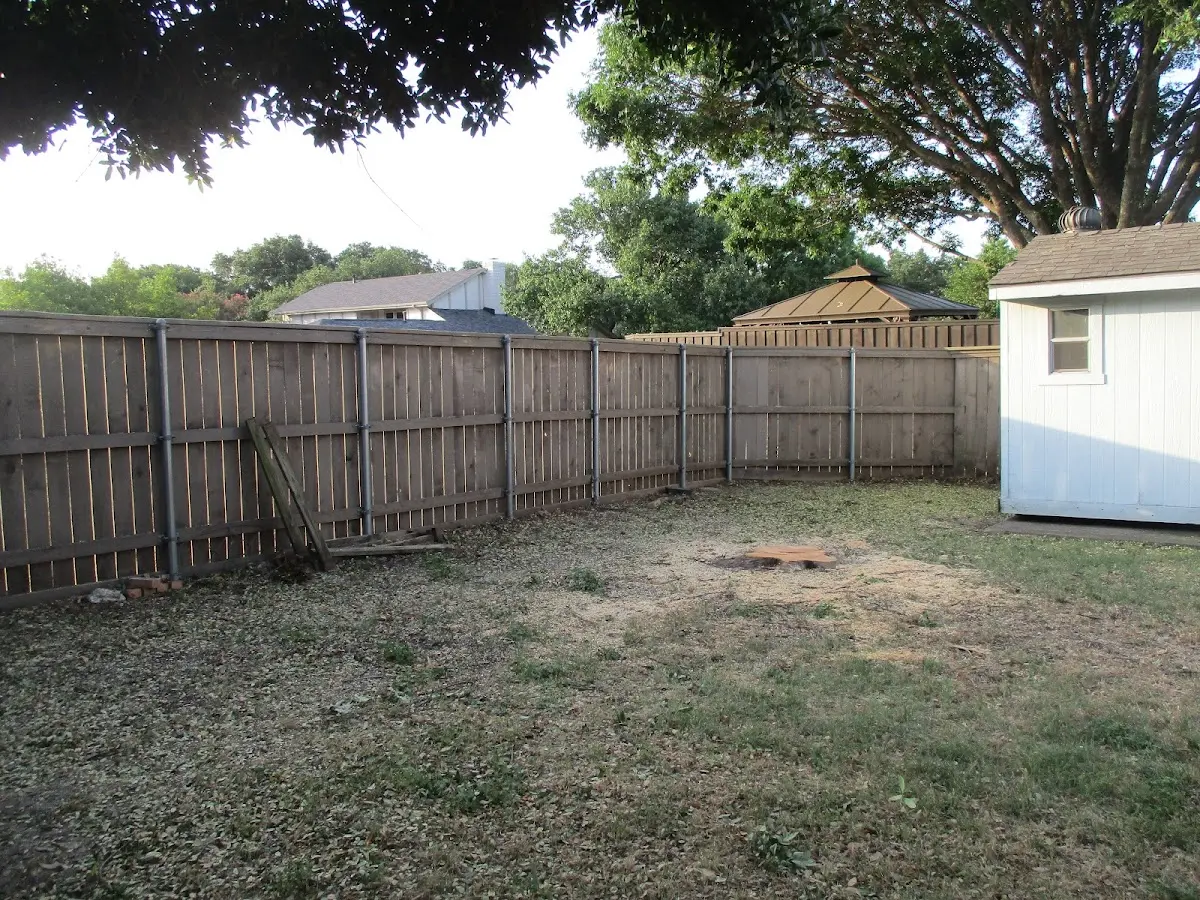 Cleared yard after professional tree removal in Sartell